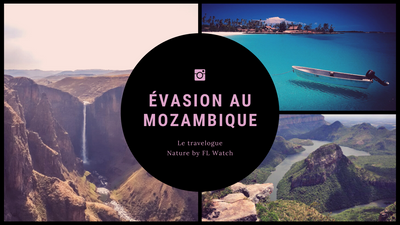 Escape to Mozambique